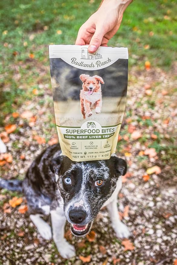 BADLANDS RANCH by Katherine Heigl – Superfood Bite Freeze-Dried Raw Beef Liver Dog Treats – High Protein Single-Ingredient Snacks for Training, Rewards & Daily Wellness – 4 oz (Pack of 4)