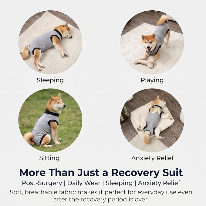 Dog Recovery Suit After Surgery, Abdominal Wound Protection Onesie, Anti-Licking Substitute for E-Collar & Cone, Relieves Anxiety, Easy to Put On, Suitable for Male & Female Dogs (Grey, X-Large)