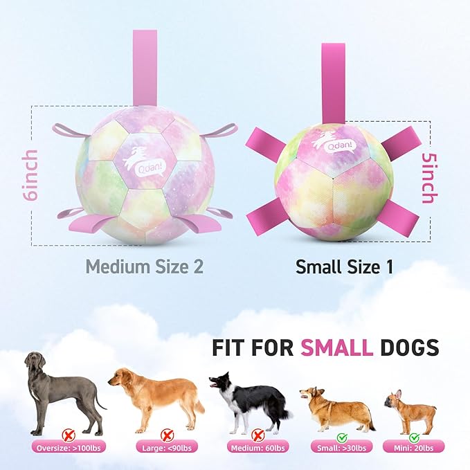 QDAN Dog Toys Soccer Ball with Straps, Durable Dog Balls for Tug of War, Puppy Birthday Gifts, Dogs Water Toy Small Dogs-Rainbow（5 Inch）