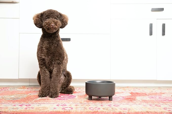 Waggo Uplift Ceramic Dog Bowl for Small Medium and Large Breeds - Heavyweight and Durable Pet Food and Water Dish Crock, Dishwasher Safe, Modern, Elevated Feeder (Medium, White)