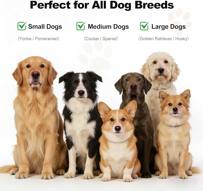 1 Gallon Dog Shampoo, Oatmeal Honey Moisturizing Shampoo for Dogs with Sensitive Dry Itchy Skin, Deodorizing & Deep Cleaning, Concentrated Formula