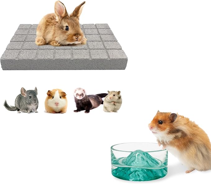 BNOSDM Rabbit Grinding Claw Pads Natural Hamster Lava Stone and Green Hamster Food and Water Bowl Mountain Fuji Style Glass for Hamsters Gerbils Mice Rats or Other Similar-Sized Pets