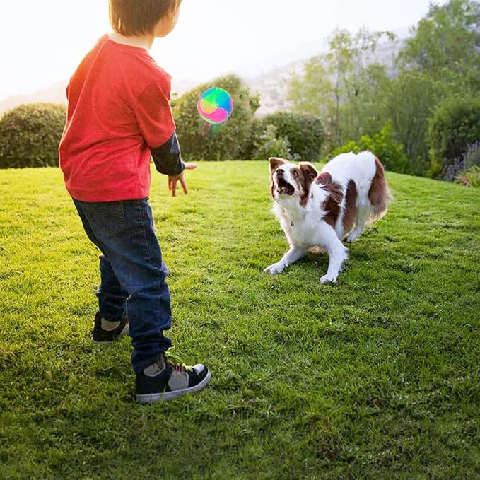 4 pcs Large Light Up Dog Balls Flashing Elastic Ball Glow in The Dark Interactive Pet Toys for for Golden Retriever,Labrador,Large Dogs