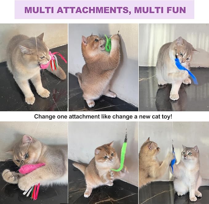 24PCS Cat Wand, Cat Tunnel & Cat Spring Toy Set for Indoor Cats