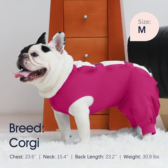 IECOii Dog Surgery Suit - Male Neuter Recovery Onesie, Anti-Licking Wounds, Post-Operative Vest, XXL-Rosered