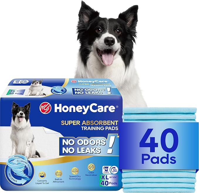 HONEY CARE All-Absorb, X-Large 28" x 34", 40 Count, Dog and Puppy Training Pads, Ultra Absorbent and Odor Eliminating, Leak-Proof 5-Layer Potty Training Pads with Quick-Dry Surface, Blue