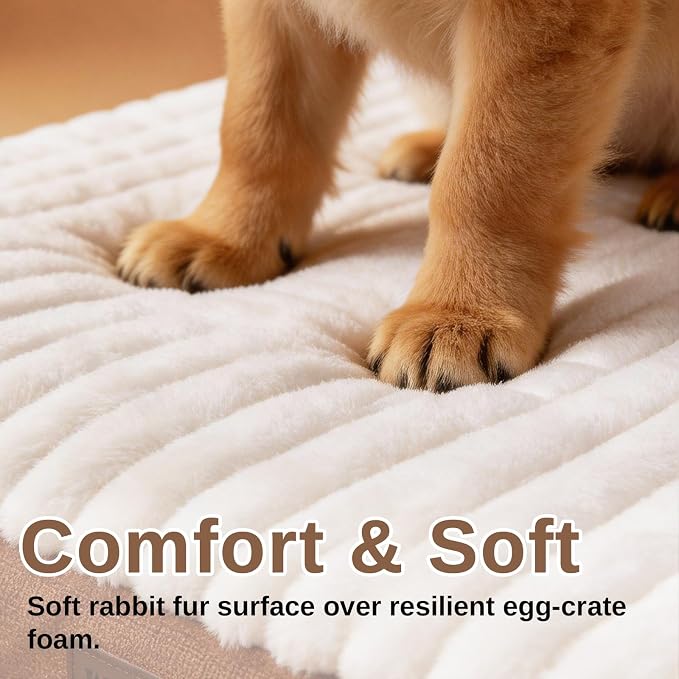 Orthopedic Dog Bed with Firm High-Density Egg Crate Foam,Soft Short Plush Surface Pet Beds,Machine Washable with Removable Cover & Non-Slip Bottom for Medium Breeds (Brown, 29" L x 18" W x 3" H)