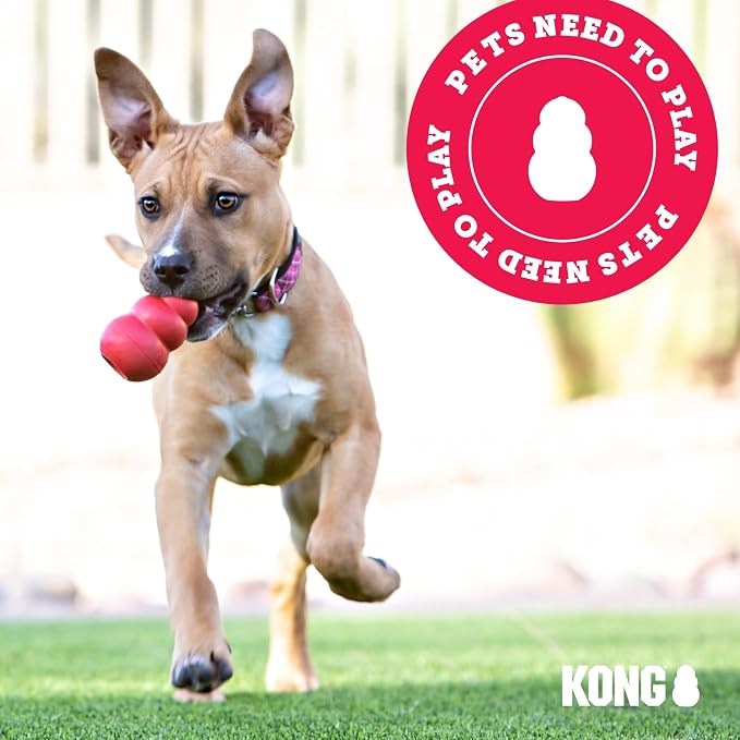 KONG - Cloud Collar - Inflatable Collar - For Injuries, Rashes and Post Surgery Recovery - For Large Dogs