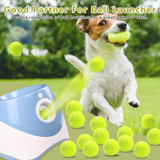 Magicorange Small Tennis Balls, 20 Pack 2 inch Tennis Balls for Dogs, Colorful Easy Catching Pet Dog Playing Ball with Mesh Bag for Easy Transport (Yellow,20 Pack)