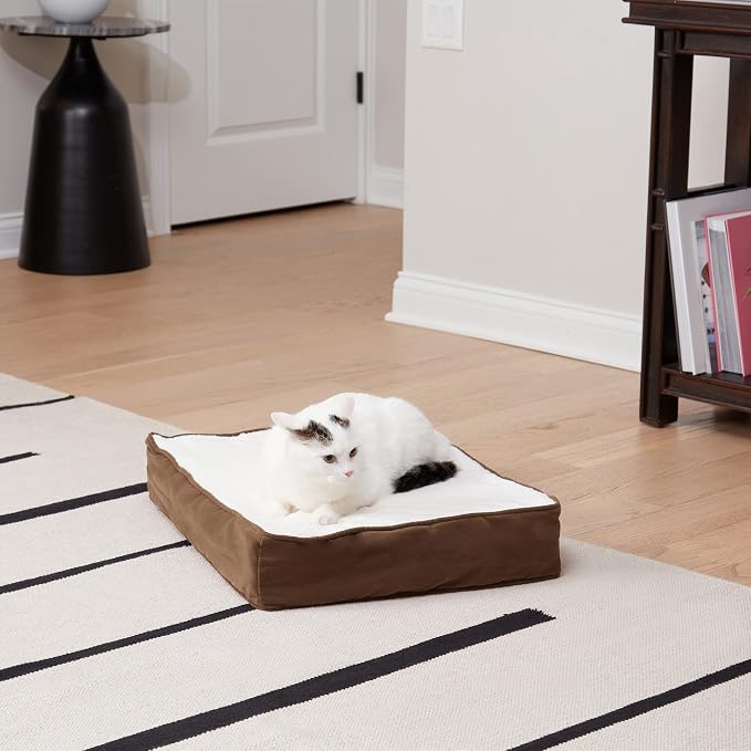 Happy Hounds Bella Orthopedic Rectangle Cat Bed, Latte