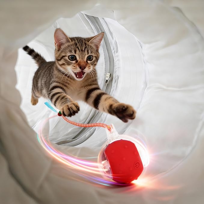 Cat Tunnel Bed with 31 Pcs Interactive Cat Toys, Automatic Cat Toys for Indoor Cats Kittens, Cat Tube with Moving Ball, White