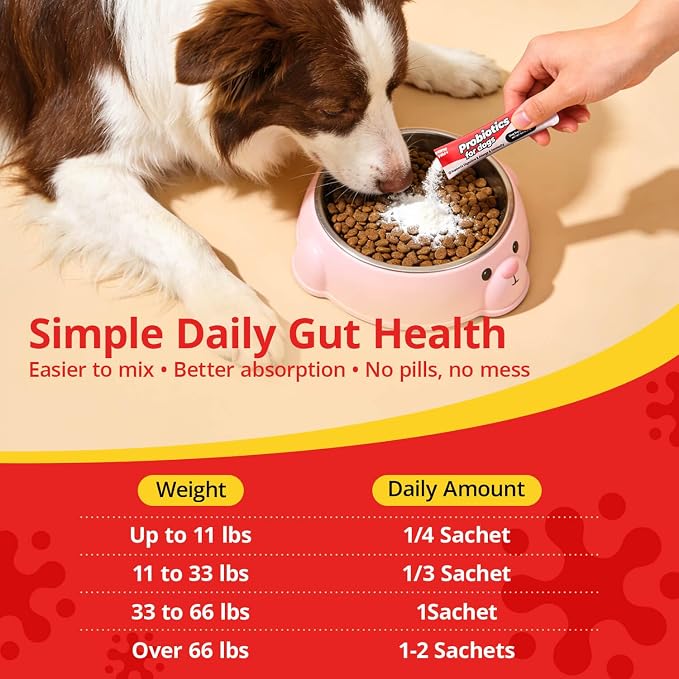 Probiotics for Dogs Digestive Health, 20 Billion CFU Dog Probiotic with Digestive Enzymes & Pumpkin Powder, Soft Powder, 30 Sachets
