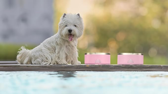 Alpine Set of 2 Stainless Steel Dog Bowls, Non Slip, Metal Pet Bowl for Food and Water, Double Walled Insulated, Rustproof, Dishwasher Safe- 32 Ounces- Sky Blue (AB)