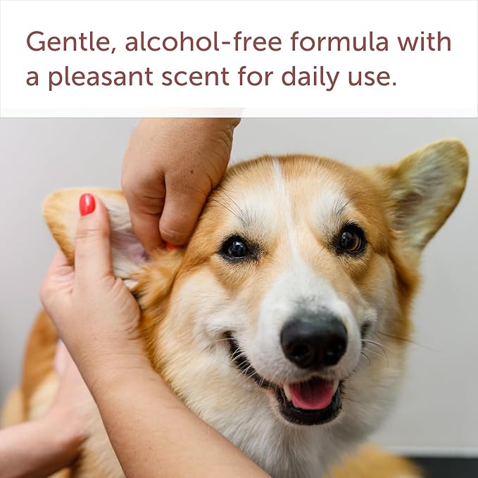 SolaceVet Alcohol-Free Ear Cleaner 8 oz – Veterinarian Recommended Gentle Ear Cleanser for Dogs & Cats, Non-stinging Formula