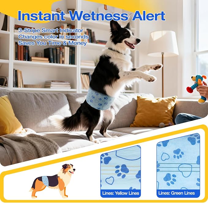 Male Dog Diapers with Wetness Indicator, Disposable Belly Band for Puppy Male Diapers, Doggie Wraps for Puppy Training, Incontinence (L, 26 Count)