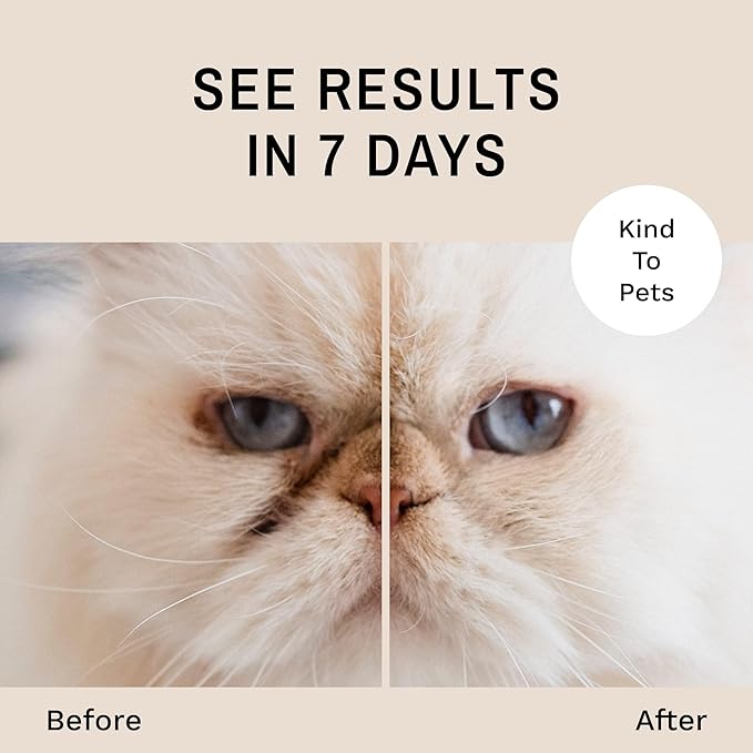 Eye Envy Tear Stain Remover Powder for Dogs and Cats. Natural, Safe Formula. Apply Around Eyes. Absorbs and Cleans Tears and Staining. Keeps Area Dry. Made in The USA. (.5 oz)