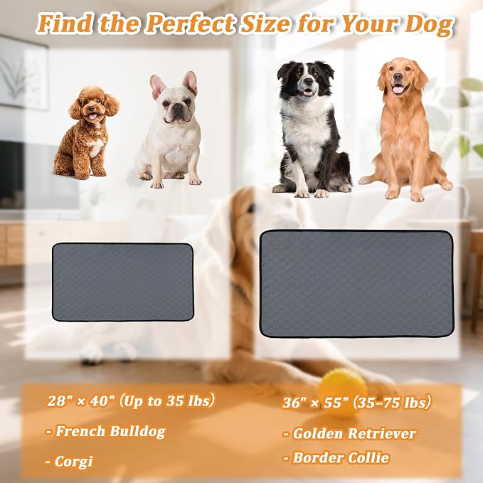 Washable Pee Pads for Dogs 2 Pack Reusable Puppy Pads Super Absorbent Waterproof Non Slip Dog Potty Training Pad 36x55 Inch for Large Dogs Crate Playpen Floor Protection