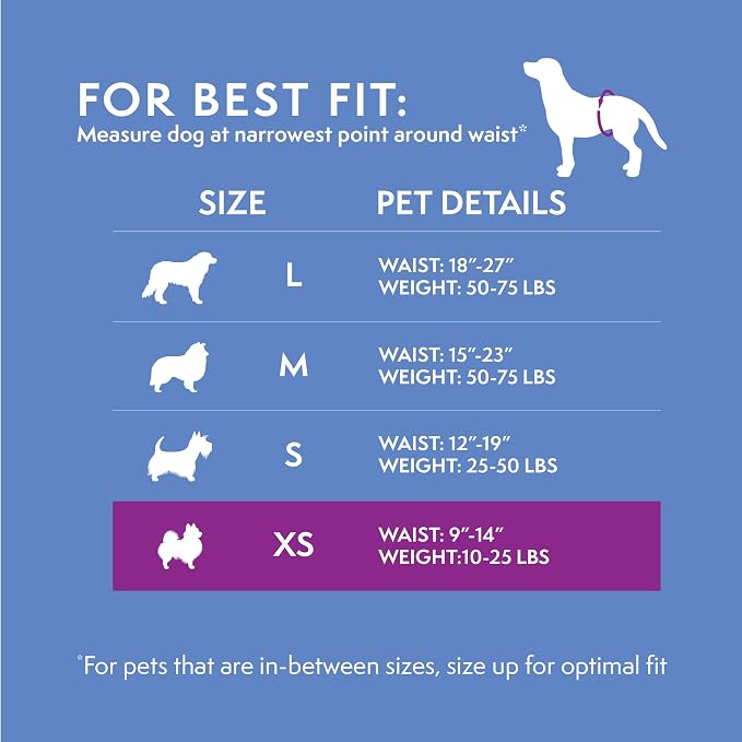 Simple Solution Disposable Dog Diapers for Male Dogs - Male Wraps with Super Absorbent Leak-Proof Fit - Toy - 12 Count