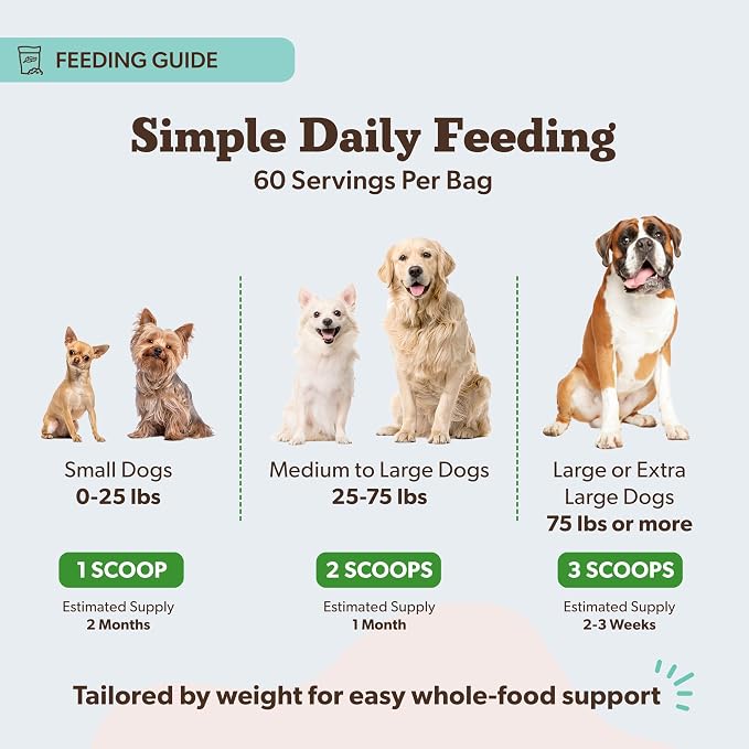 Natural Dog Company Super Greens Food Topper for Dogs, 8oz – Multivitamin & Superfood Powder – Immune, Digestive & Skin & Coat Support – No Fillers or Artificial Preservatives – All Life Stages