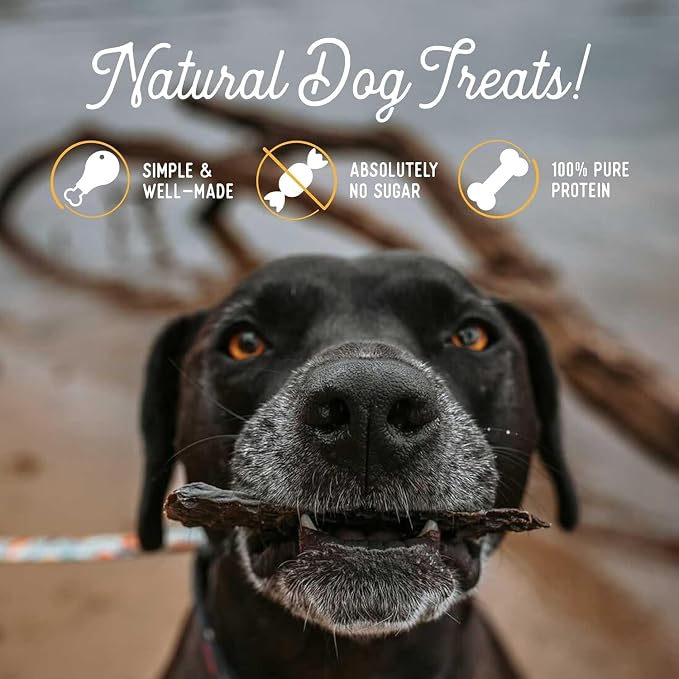 Beg & Barker Beef Liver Jerky for Dogs (4 Ounce, Pack of 2) - Dog Training Treats - Natural Dog Treats Made in The USA - Grain Free, Diabetic-Friendly, High Protein, Sugar-Free