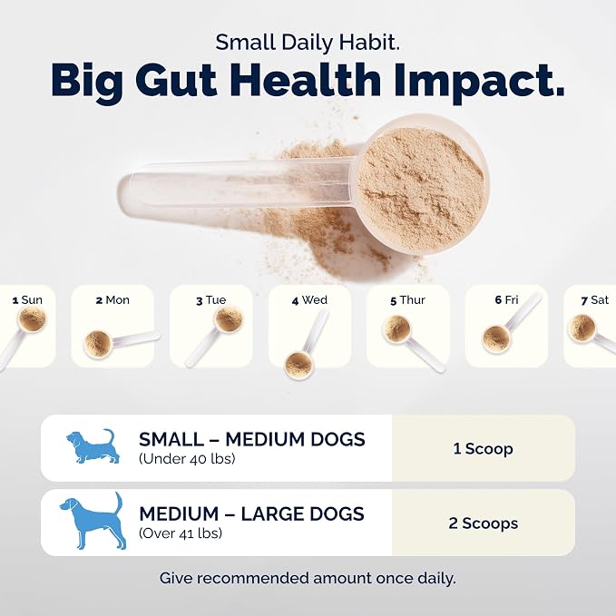 Vetnique Glandex Dog Probiotic Powder, Daily Probiotics for Dogs 5 Strains, Prebiotics & Digestive Enzymes for Gut & Immune Health, Vet Formulated for Occasional Diarrhea (4.25oz Powder, Pork Powder)