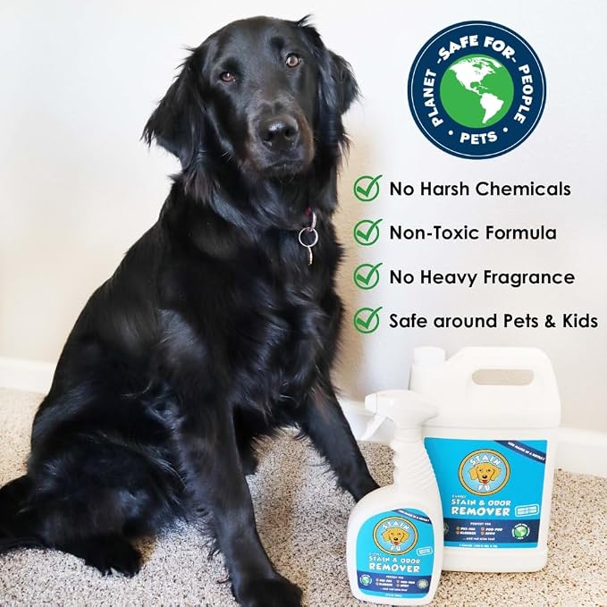 Pet Stain & Odor Remover – Carpet Cleaner Spray for Dog & Cat Urine, Feces, Vomit, Coffee & Wine Stains – Upholstery, Rugs & Furniture Cleaner – 24 oz