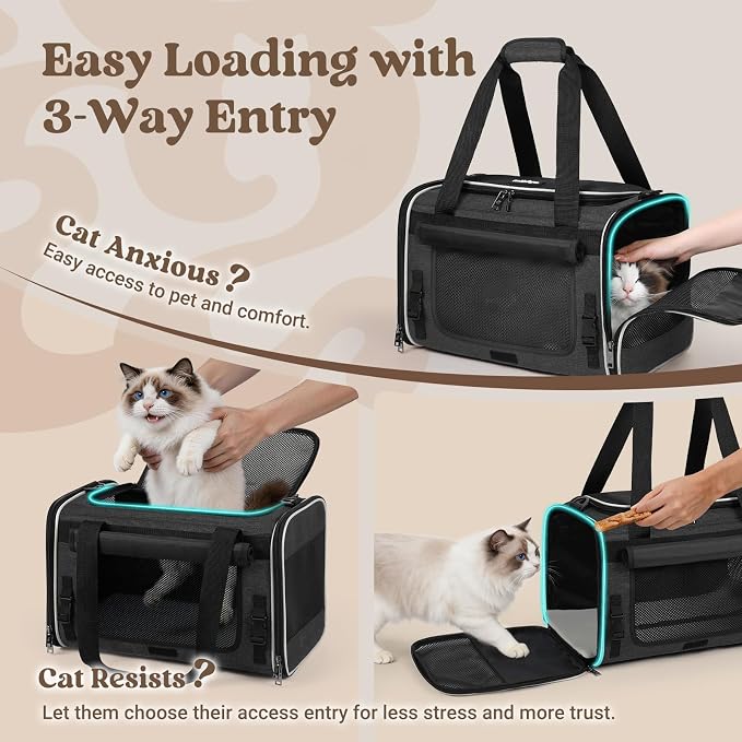 rabbitgoo Cat Carrier Soft, Pet Bag with Rollable Flap for Anxious Kittens, Travel Safe for Car Airline, Collapsible Portable Carrying for Medium to Large Cats, Black, 19" L x 12" W x 12" H