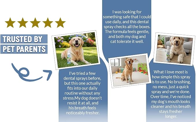 Dog Dental Spray Removes Tartar, Plaque and Freshens Breath Instantly. The Most Advanced Dental Spray for Healthy Teeth, Gums and Oral Health Care for Your Dog, Cat or Pet - 1-8 oz. Bottle