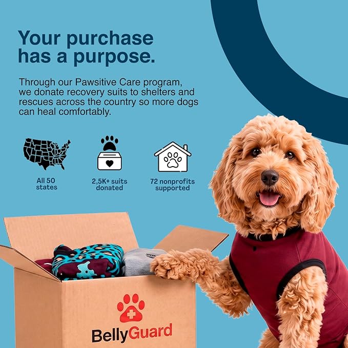 BellyGuard Dog Surgery Recovery Suit, Post-Op Dog Recovery Suit for Female Spay & Male Neuter, Comfy Onesie for Pets, Surgical Body Cover for Canine Healing Support
