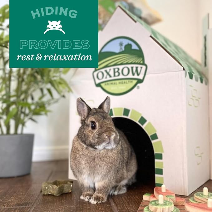 Oxbow Timothy Hay Bungalow, Rabbit & Guinea Pig Hideout, Edible & Hand-Woven Bunny House, No Wires or String, Small Pet Accessories, for Rabbits, Guinea Pigs, Chinchillas & Rats, Large