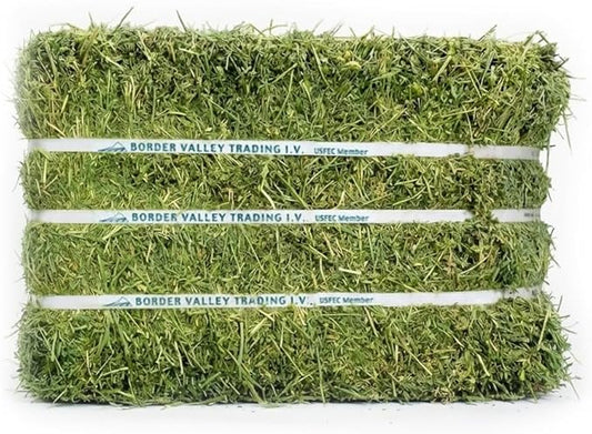 Border Valley Alfalfa Hay Bale in Bag, 40 lb - High Fiber Hay for Rabbits, Guinea Pigs, Chinchillas, Tortoises, Horses and Livestock - Protein-Rich Plant-Based Nutrition, Farm-to-Home Freshness