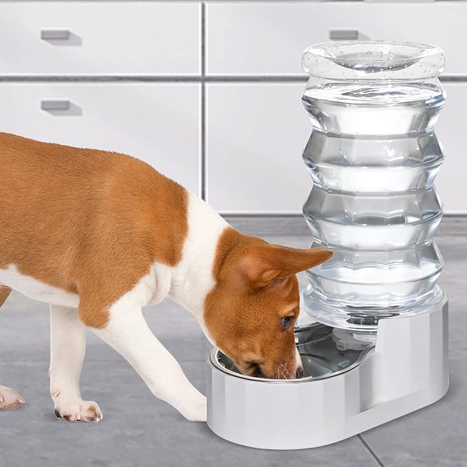 RIZZARI 8L Stainless Steel Gravity Pet Water Dispenser – Auto-Refill | Fresher Daily Drinking, for Multi-Pet Homes, Activated Carbon Filtration, Easy to Clean