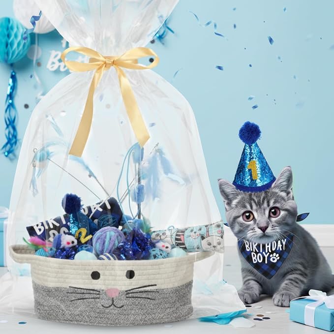 Zopeal 38 Pcs Graduation Cat Toy Set Interactive Cat Toys Pack Including Cats Gift Basket Feather Teaser Wand Plush Gift Outfit Mice Crinkle Balls and Pet Bell Balls, Puzzle for Indoor(Blue)