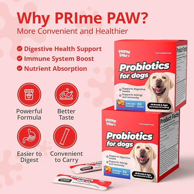 Probiotics for Dogs Digestive Health, 20 Billion CFU Dog Probiotic with Digestive Enzymes & Pumpkin Powder, Soft Powder, 30 Sachets