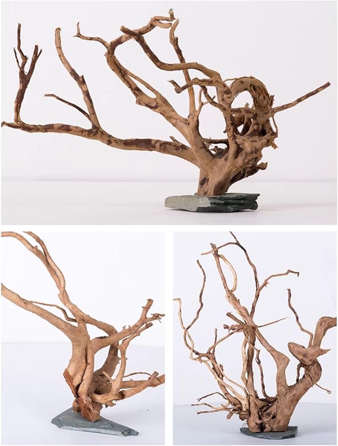 AWXZOM Natural Large Spider Wood Driftwood for Aquarium, Terrarium, Vivarium, and Reptile, Aquarium Décor, Reptile Tank, Aquarium décor Wood Aquascaping Wood for Reptile Enclosure (9-14inch)