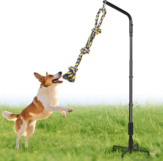 AugFir Tether Outdoor Dog Rope Toy with Strengthen Spring Pole, 3 Kinds Dog Tug of War Toys for Self Play and Interactive in Park, Yard, Lawn Rope, Suitable for Large Medium Small Dogs (Blue)