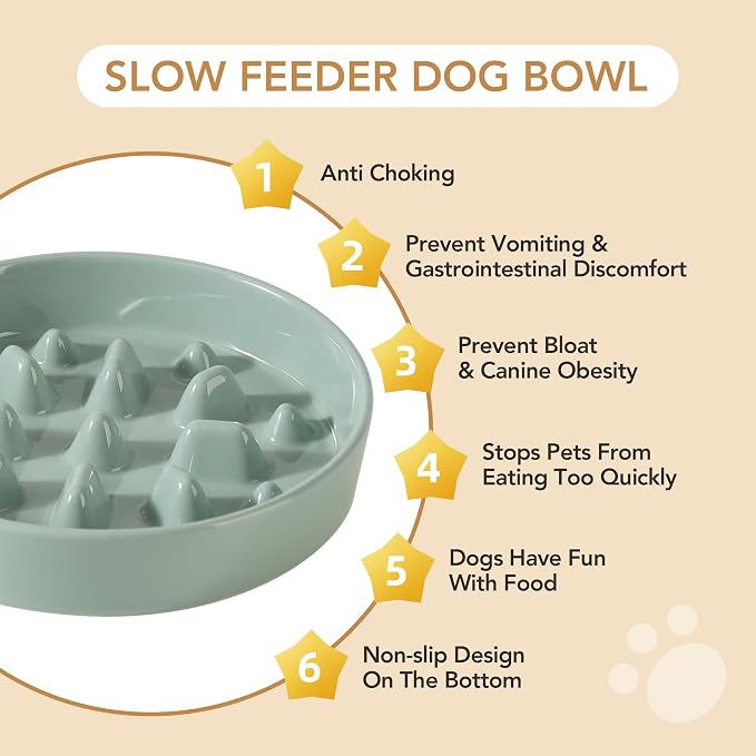 Havniva 8.2” Raised Slow Feeder Dog Bowls, 1.6 Cups Ceramic Dog Bowl Slow Feeding for Medium Breed, Elevated Puzzle Dog Food Bowl with Wooden Stand Non-Slip Anti-Gulping & Anti-Choking