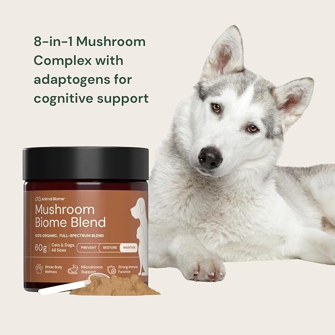 Animal Biome 8-in-1 Mushroom Supplement for Dogs & Cats, 60g (105 Scoops) – Turkey Tail Mushroom, Lion’s Mane Blend – Organic Mushroom Powder for Cat & Dog Immune & Wellness Support, Daily Food Topper