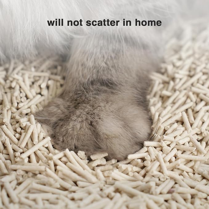 Cat Litter 24LB/4 Packs Dust-Free Clumping Tofu Cat Litter Quickly Absorb Odors Toilet Can Flush Into The Toilet Pure Natural tofu cat Litter (Original Flavor)