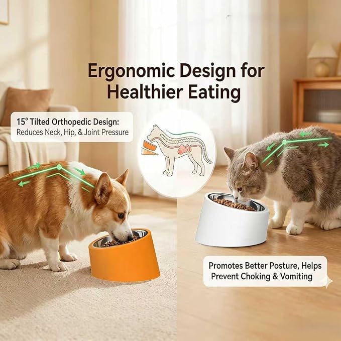 15° Tilted Dog Bowl for Small Dogs Flat-Faced Breeds - Anti-Choke Ergonomic Elevated Feeder Non-Slip Base - 2-in-1 Detachable Stainless Steel Food & Water Bowls - Pure White Clean & Simple (L, White)