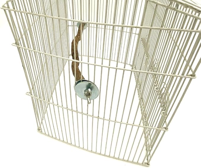 Polly's Full Length Hardwood Cage Perch for Parakeets, Cockatiels, Cockatoos, Macaws, and Other Birds (28")