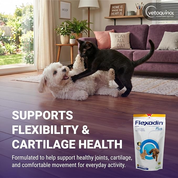 Vetoquinol Flexadin Plus - Hip & Joint Support for Cats & Small Dogs - Flexibility & Cartilage Support - Aids with Pet Mobility - Green-Lipped Mussel & Vitamin E - for Pets Up to 30 lbs - 90 Chews