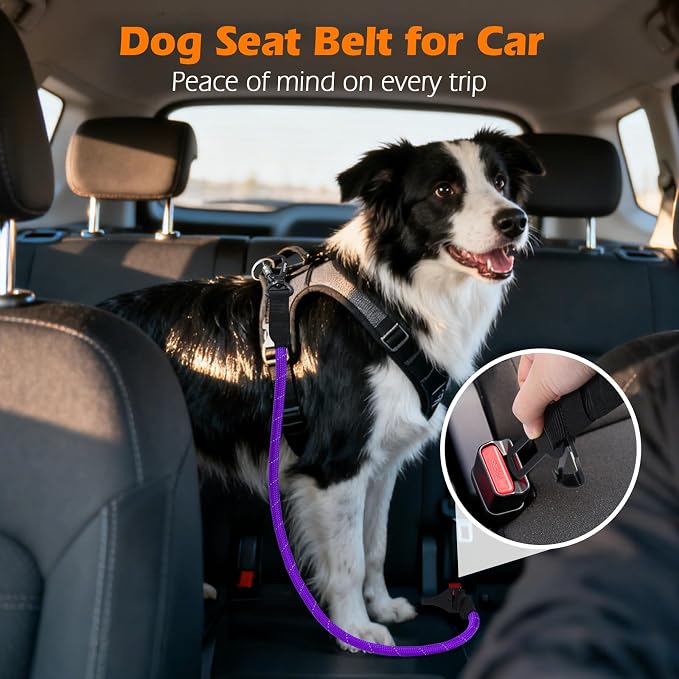 PetBonus Dog Seat Belt for Car and 2-Pack Silicone Collapsible Dog Bowls