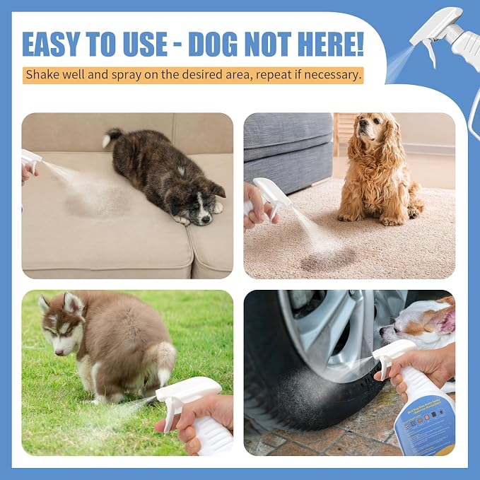 16 Oz Ideal for Training and Housebreaking | Effective Training Spray for Dogs to Stop Unwanted Marking and Messy Urination