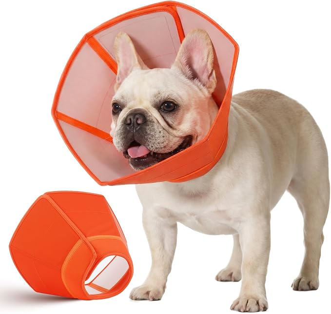 Allroaring Soft Dog Cone Collar Post Surgery Recovery,Waterproof Dogs Elizabethan Collar for Spay & Neuter Cones of Shame with Comfy Neck Padded Adjustable Cone to Stop Licking for Medium Dog M Orange