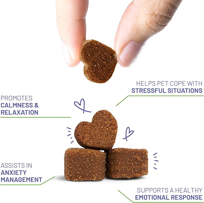 Brave Paws Calming Chews for Dogs - Plant-Based Dog Calming Chews for Anxiety Relief Support with Souroubea - Helps with Dog Separation Anxiety, Stress, Travel & Loud Noises (Fireworks, Thunder)
