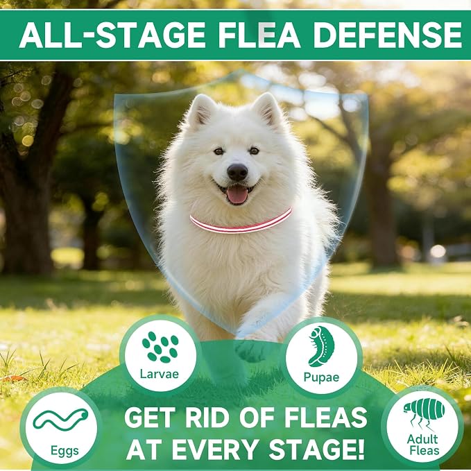 Flea Collar for Dogs, 4 Pack Flea and Tick Prevention for Dogs, 32 Months Dog Flea and Tick Treatment, Adjustable Dog Flea Collars, Waterproof Dog Flea Treatment Collar, Flea Treatment for Dogs
