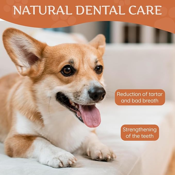 Wildfang® Yak Chews, X-Small for Dogs Under 22 lbs – Dog Dental Chew Stick, Hardness Like Himalayan Yak Cheese, Churpi-Style Cheese Sticks, Dog Treats & Puppy Training Treats, Approx 1 oz, Pack of 3
