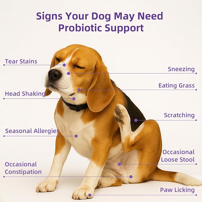 Dog Probiotic Chewable Tablets with Prebiotic, Apple Cider Vinegar & Papaya Powder, Pork Flavor Daily Digestive Supplement for All Breeds Dogs, 90 Count