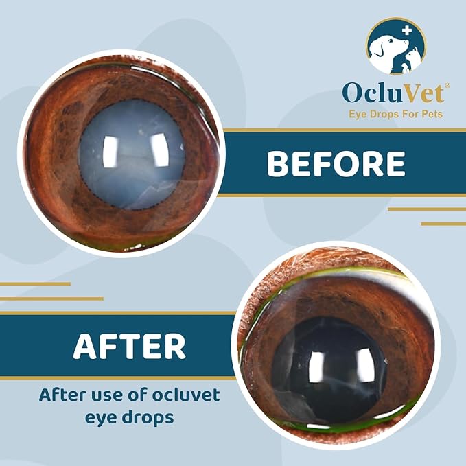 OcluVet Eye Drops for Pets | Clinically Studied Antioxidants for Pets | Made in the USA | Includes 2% N-Acetyl-L-Carnosine (NAC) | 16mL